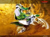 /album/valdemar-ordones/images-2-jpg1/